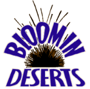 Bloomin Deserts Landscaping and Pools